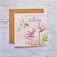 Humming Bird Birthday Card