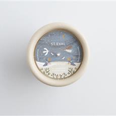 Inspiritus Stardust Pot