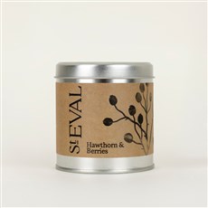 Hawthorn &amp; Berries Scented Tin Candle